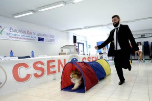giornata europea dello sport integrato - agility dog