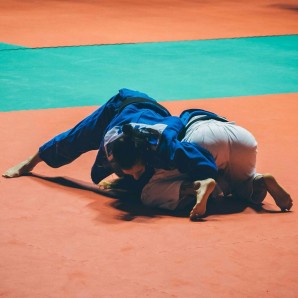 judo- pidroni