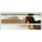 O.K. Corral Performance Horses