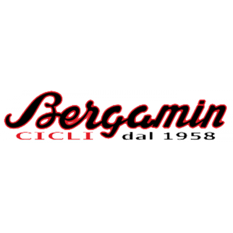 Cicli Bergamin