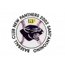 New Panthers 2002