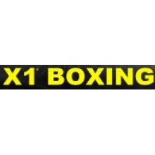 X1 Boxing 